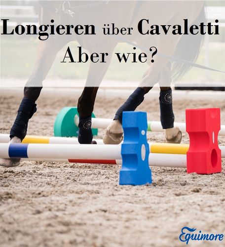 Longieren