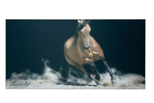 Ansicht eines Bild, mit einem Pferd darauf. Für Aktukstikbilder