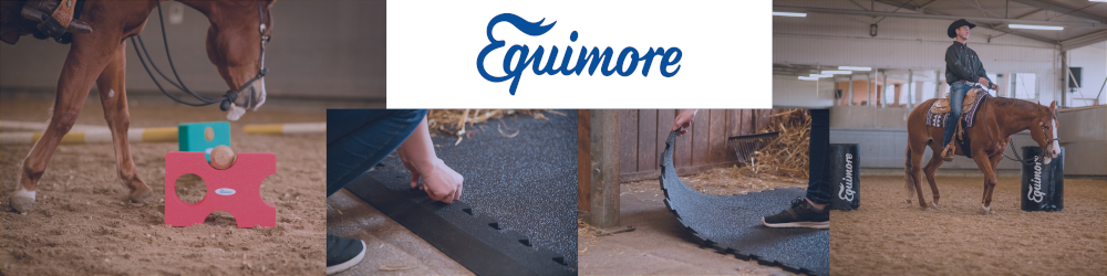 Titelbild mit einer Foto Collage. Links ein Pferd das über Cavaletti trabt. Rechts eine ReiterIn. Untern das verlegen von Schutzmatten. 